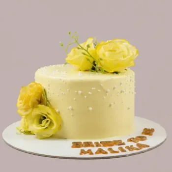 Cream Cake Collection